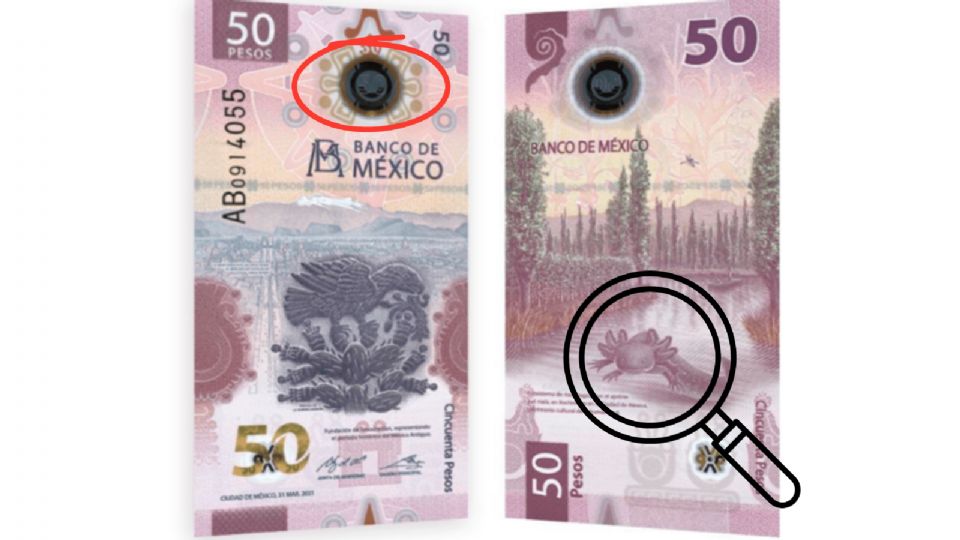 Conoce los elementos para identificar un billete falso