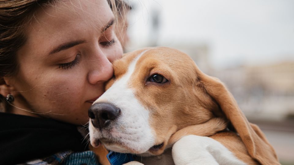 Conoce los efectos de abrazar a tu perro