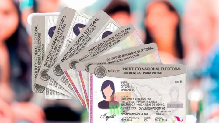 INE: ¿Quiénes pueden recoger su credencial hasta el 8 de febrero para votar en Elecciones 2024?