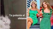 Andrea Legarreta VS Anette Cuburu: Los mejores memes del pleito entre las famosas