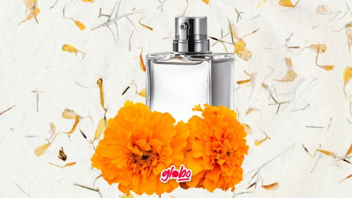 3 Perfumes de Cempasúchil inspirados en las tradiciones de Día de Muertos