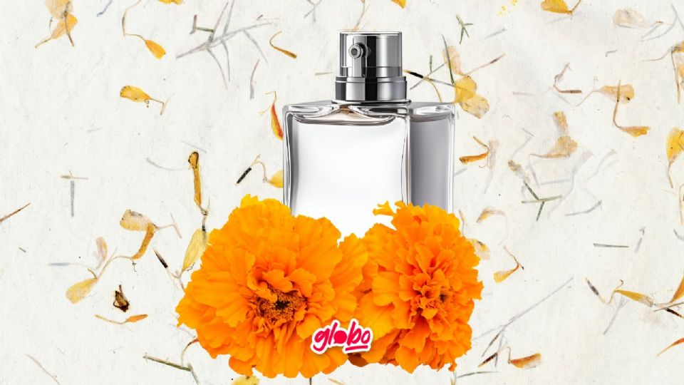 Estos son los perfumes inspirados en la icónica flor de cempasúchil y huelen muy bien. Ideales para usar en este Otoño 2024.