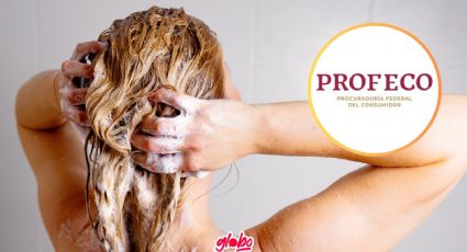 ¿Cuál es el mejor shampoo para el cabello teñido?: Esto dijo la Profeco ¡No se destiñe!