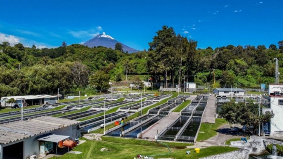 Atlimeyaya ofrece hermosos paisajes y actividades para disfrutar de la naturaleza y desconectarte del bullicio.