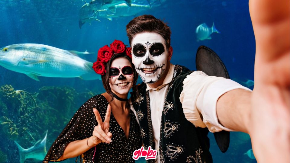 Detalles de las Noches de Leyendas en el Acuario Inbursa.