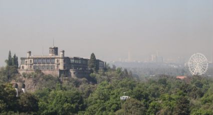 Central Park o Chapultepec, ¿Qué parque es más grande y cuál es mejor?