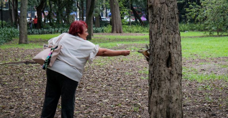 El Bosque de Chapultepec es considerado el pulmón de la CDMX.