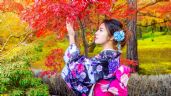 Foto ilustrativa de la nota titulada: Festival japonés de otoño Aki Matsuri: cuándo, dónde y precio de los boletos