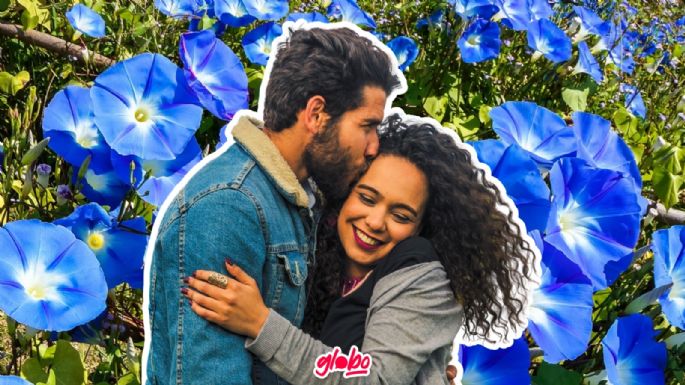 Día del Novio: ¿Cuál es el significado de regalar flores azules hoy 3 de octubre?