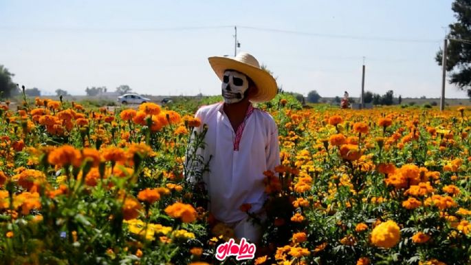 Festival de las Flores Doxey 2024: Detalles y cómo llegar al evento más esperado de la temporada