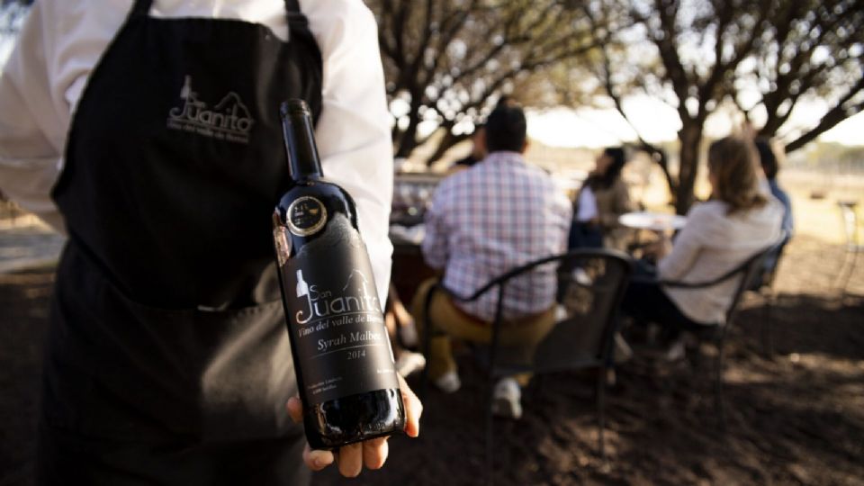 Conoce los mejores viñedos a pocas horas de la CDMX.