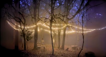 Descubre el Bosque Iluminado, un lugar místico que casi nadie conoce y necesitas explorar