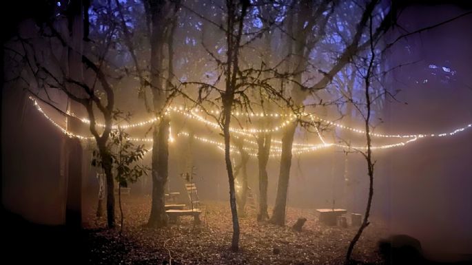 Descubre el Bosque Iluminado, un lugar místico que casi nadie conoce y necesitas explorar