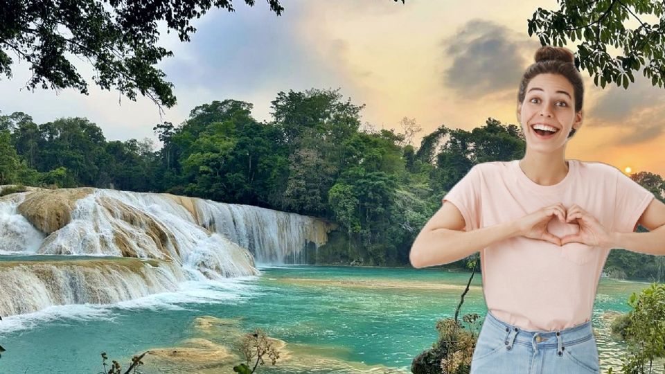 Disfruta de uno de los fenómenos naturales más bellos y recorre el país con tu familia, pareja o amigos.