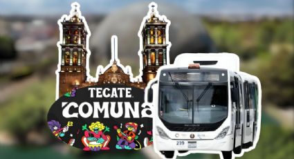 Tecate Comuna 2024: Precio y horario de las rutas de transporte nocturno para llegar al festival