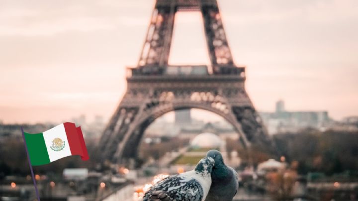 La Torre Eiffel mexicana, ¿dónde está y cómo visitarla?