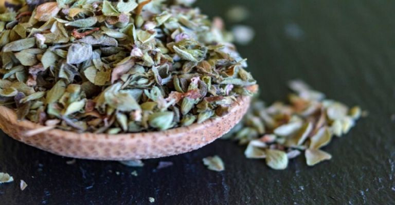 El té de orégano es fácil de preparar y tiene incontables beneficios para la salud.