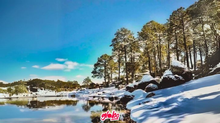 ¿Cuándo visitar Chihuahua para ver la nieve? Estas son las mejores fechas