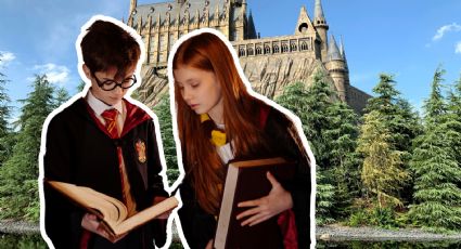 Conoce el bosque de Guanajuato, un paraíso natural al estilo de Harry Potter