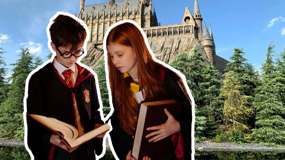 Bosque mágico al estilo Harry Potter en Guanajuato.