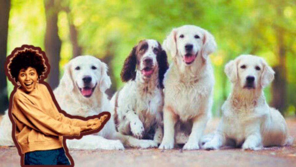 Antes de tomar una decisión, es importante que tengas en cuenta varios factores.