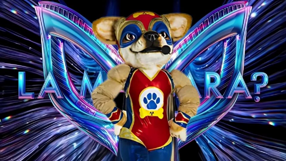 ¿Quién será el ganador de '¿Quién es la Máscara?' 2024?