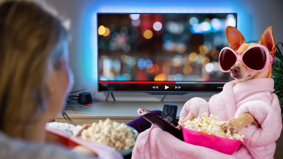 Mejores series mexicanas del 2024 que puedes ver para cerrar el año en streaming.