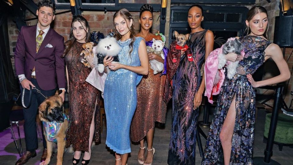 Se llevaron la noche en la pasarela los perritos en el New York Fashion Week