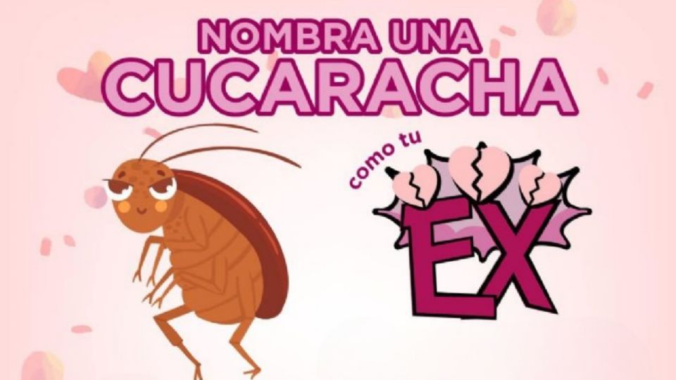 ¡ATENCIÓN!, Si quieres poner el nombre de tu ex a una cucaracha, esto debes hacer.