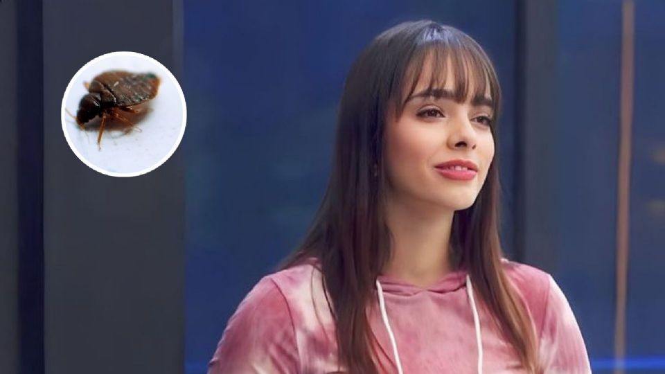 Video: Alana se queja por un insecto que no la dejó dormir ¿Hay chinches en “La Casa de los Famosos”?