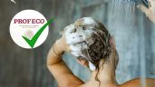 Foto ilustrativa de la nota titulada: 5 shampoos profesionales  mejor calificados por PROFECO