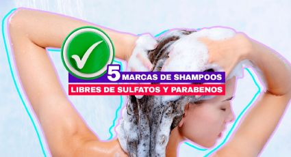 5 marcas de shampoos libres de sulfatos y parabenos para cuidar tu cabello