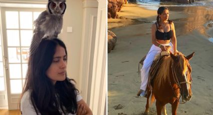 Salma Hayek presume sus excéntricas mascotas, ¿qué animales tiene en su casa?