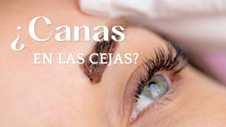 Canas en las cejas.
