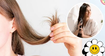 ¿Cómo se usa la vaselina en el cabello? Así puedes reparar las puntas abiertas