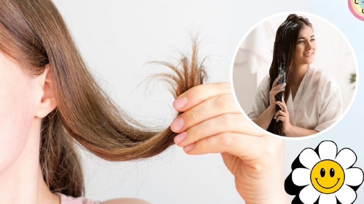 ¿Cómo se usa la vaselina en el cabello? Así puedes reparar las puntas abiertas
