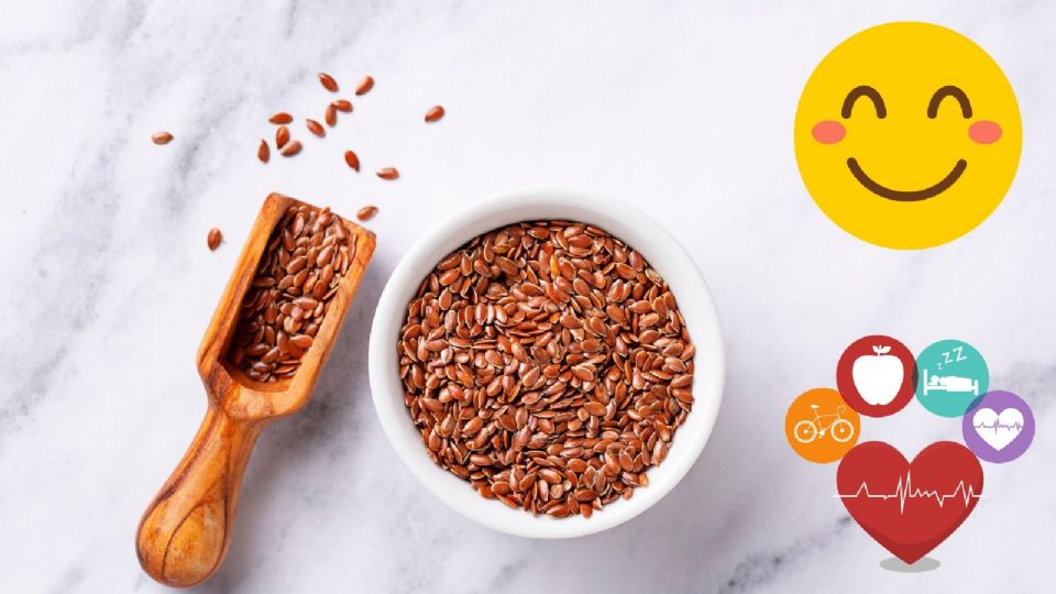 semilla de lino beneficios.