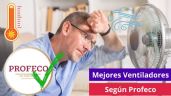 4 mejores ventiladores del mercado según Profeco, para sobrevivir al calor de primavera y verano