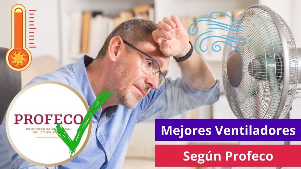 Este es el mejor ventilador según Profeco.