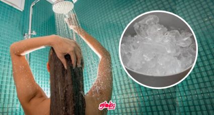 Hielo en el cabello ¿Para qué sirve?