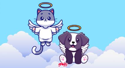 Mascotas: Cómo afrontar la muerte y despedirte de un ser querido