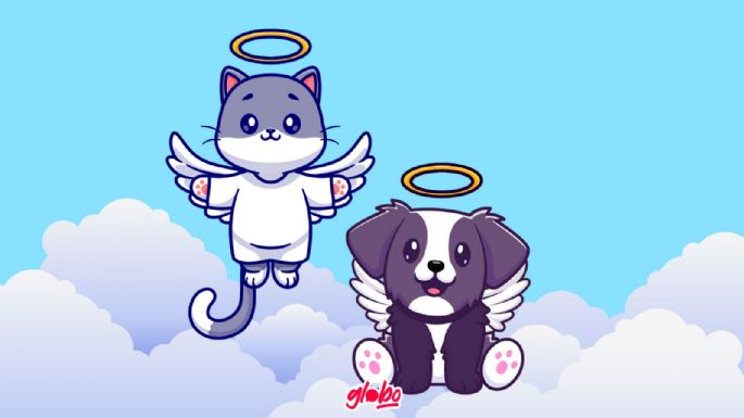 Mascotas: Cómo afrontar la muerte y despedirte de un ser querido