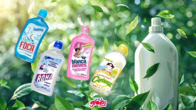 ¿Cuáles son los detergentes biodegradables en México?