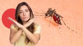 Foto ilustrativa de la nota titulada Ola de calor: 5 remedios para decirle adiós a los mosquitos