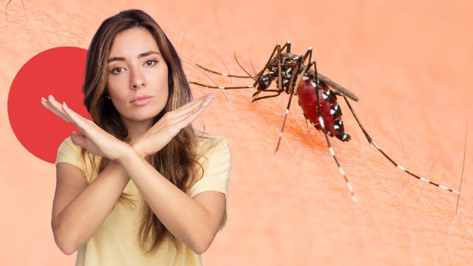 Así le puedes decir adiós a los mosquitos.