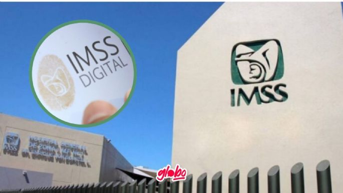 IMSS digital: ¿Cómo saco la vigencia de derechos del IMSS? Así puedes descargarla en línea