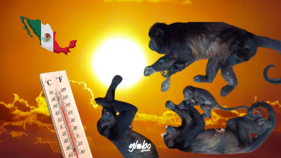 Mueren especies en peligro de extinción por altas temperaturas.