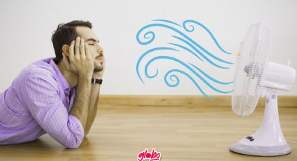 ¿Cómo elegir el mejor ventilador del mercado? Recomendaciones, ventajas y desventajas