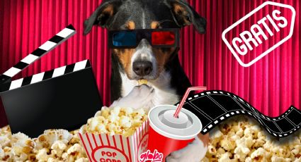 Elecciones 2024: Promociones en el cine para las personas que votaron | Palomitas y entradas GRATIS