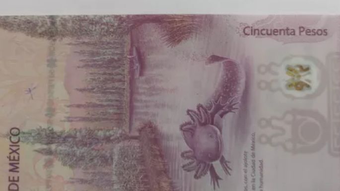 Este es el billete de 50 pesos con error que venden por la millonaria cifra de 4 millones de pesos